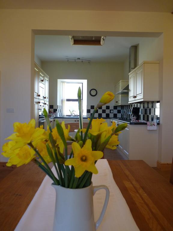 Old Police House Bed and Breakfast Haverfordwest Exterior foto